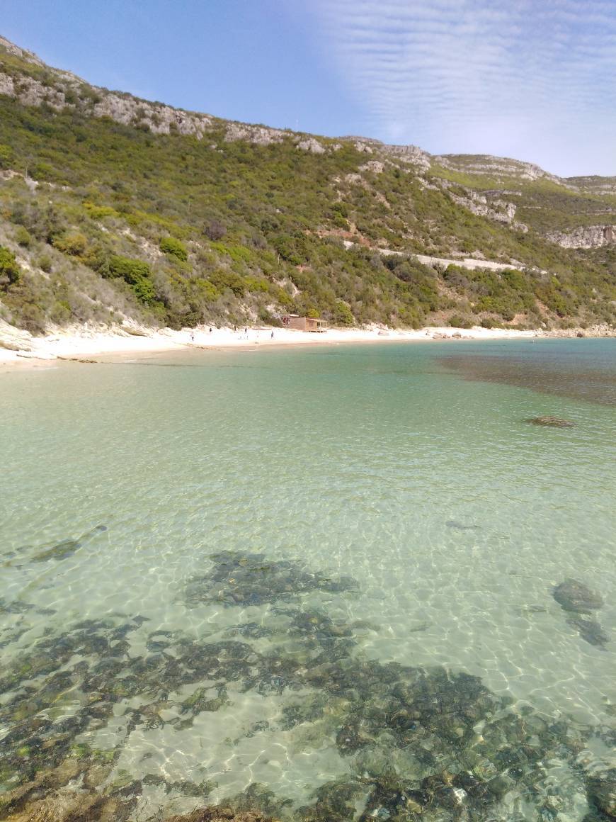 Lugar Praia dos Galapinhos