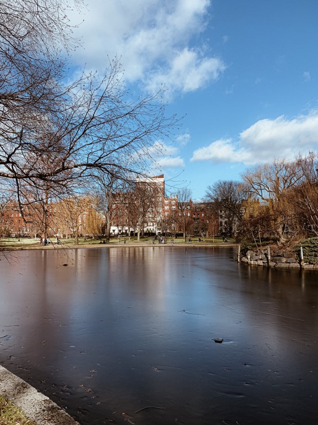 Lugar Boston Common