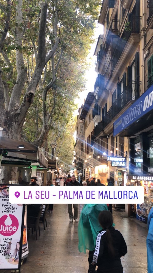 Place Palma de Mallorca