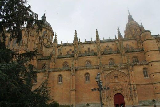 Catedral de Salamanca