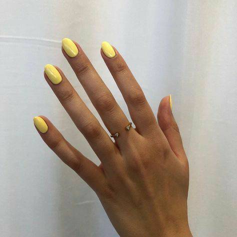 Fashion Nails