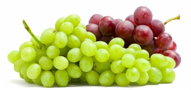 Moda Uvas 🍇