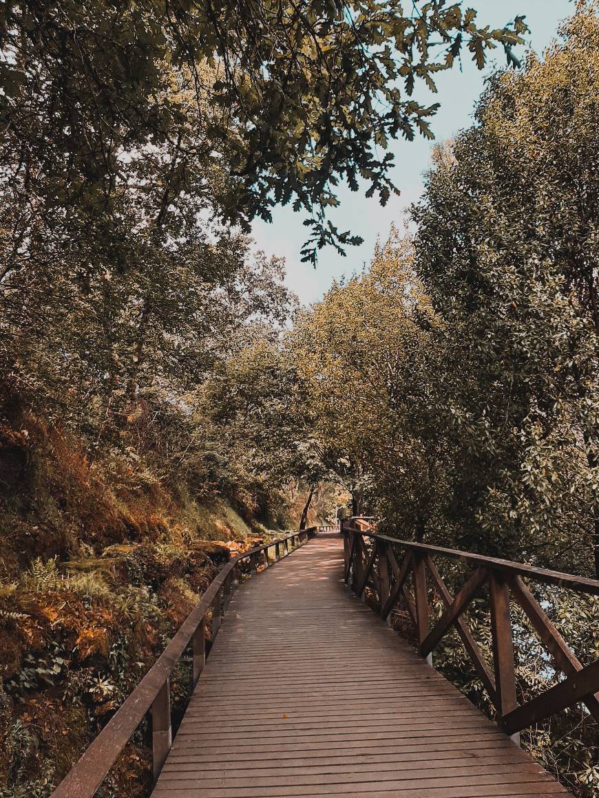 Lugar Barragem da Queimadela - Fafe