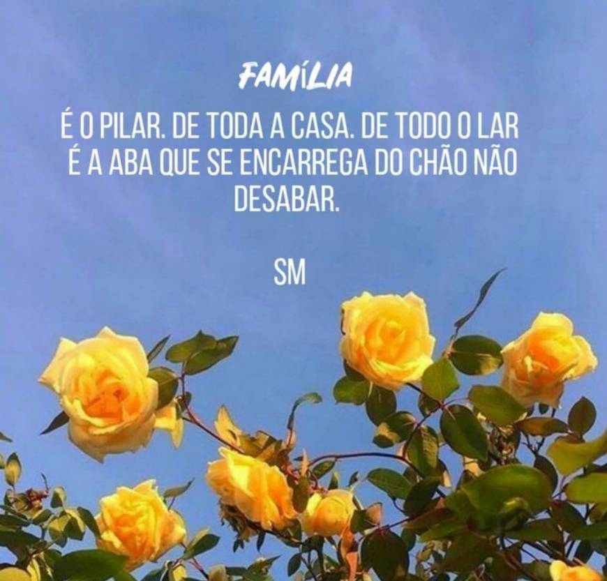 Fashion Família