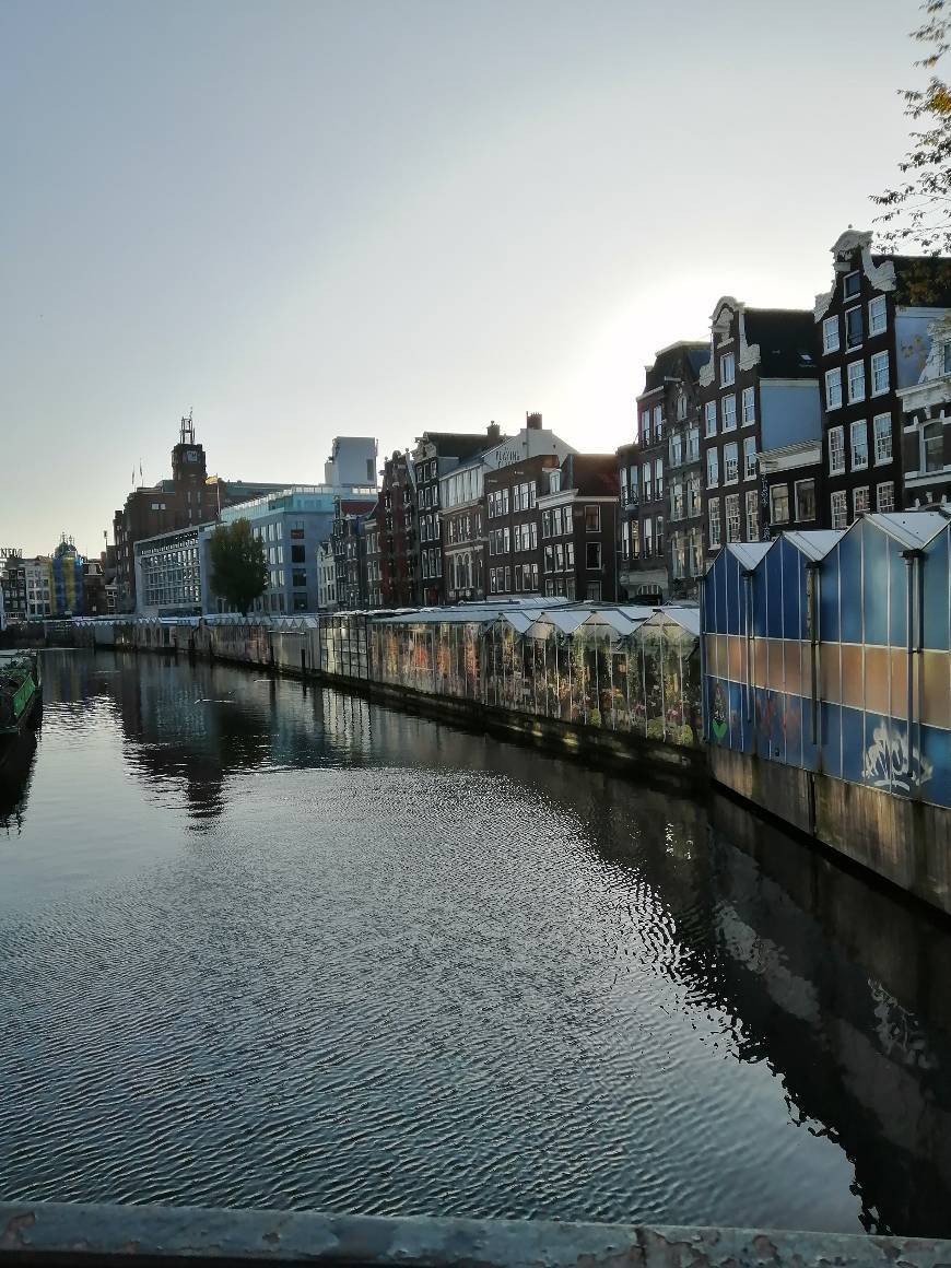 Lugar Market | Bloemenmarkt 