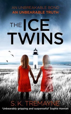 Books The ice twins