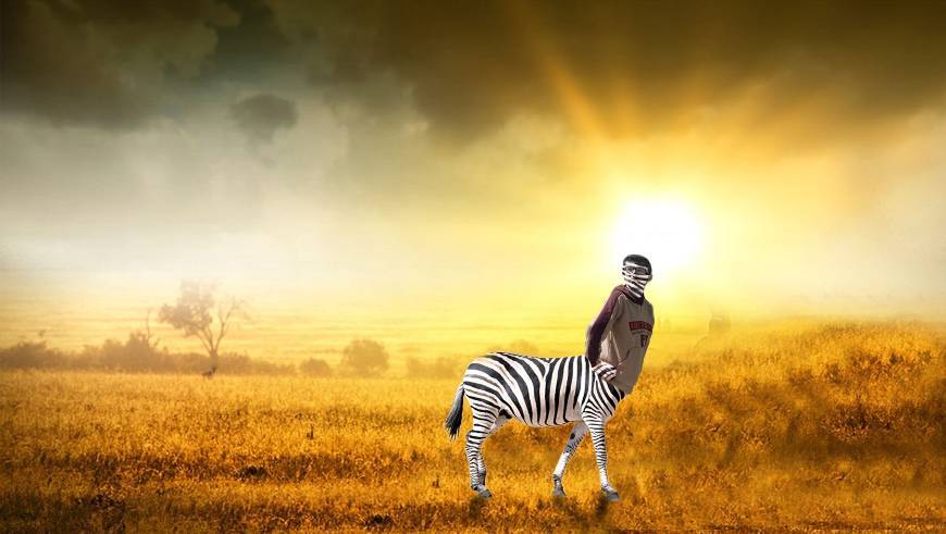 Fashion Montagem em uma zebra 