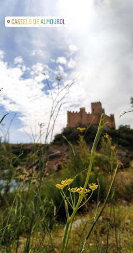 Castelo de Almourol