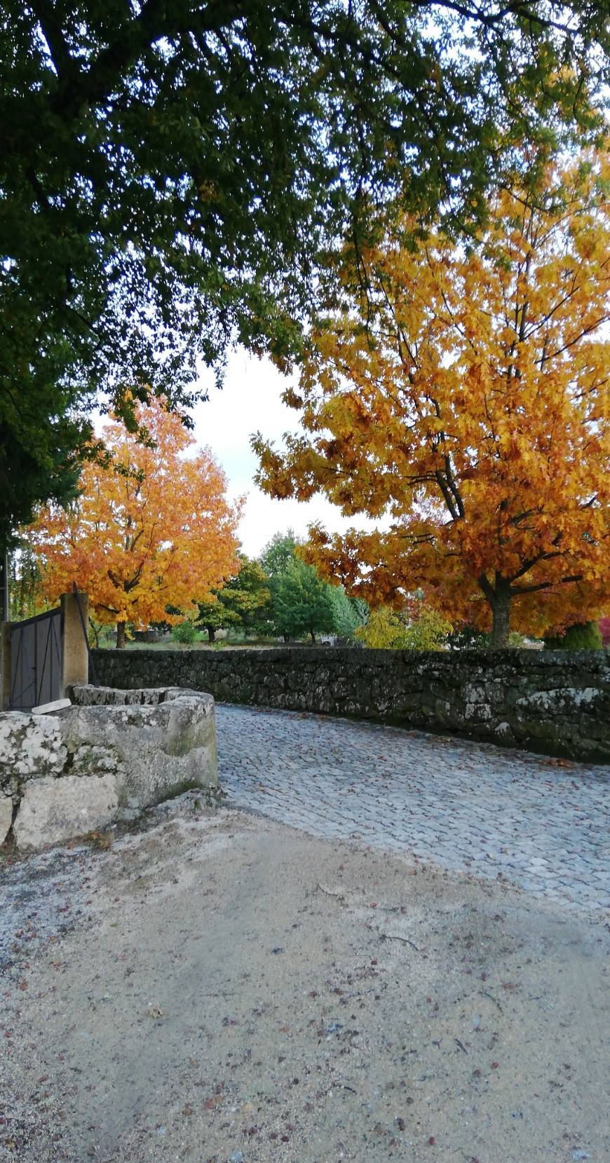 Place Castainço