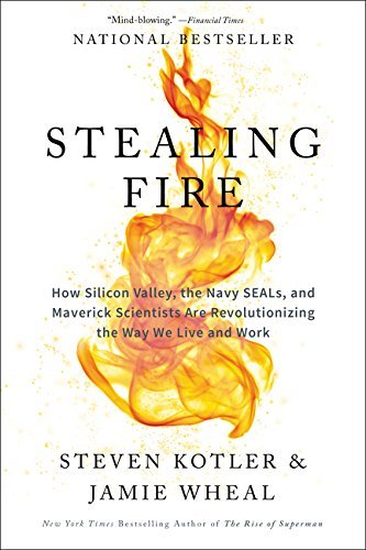 Book Stealing Fire