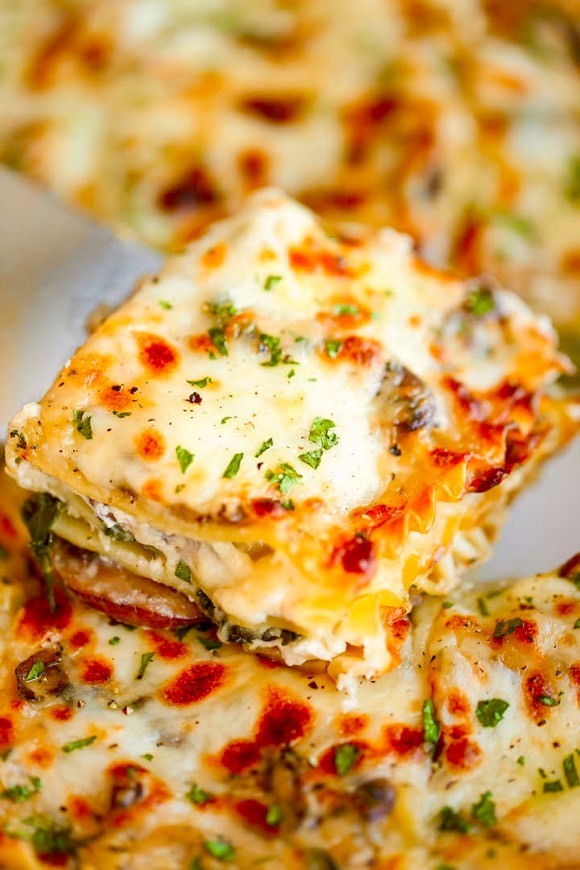 Product Veggie lasagna 