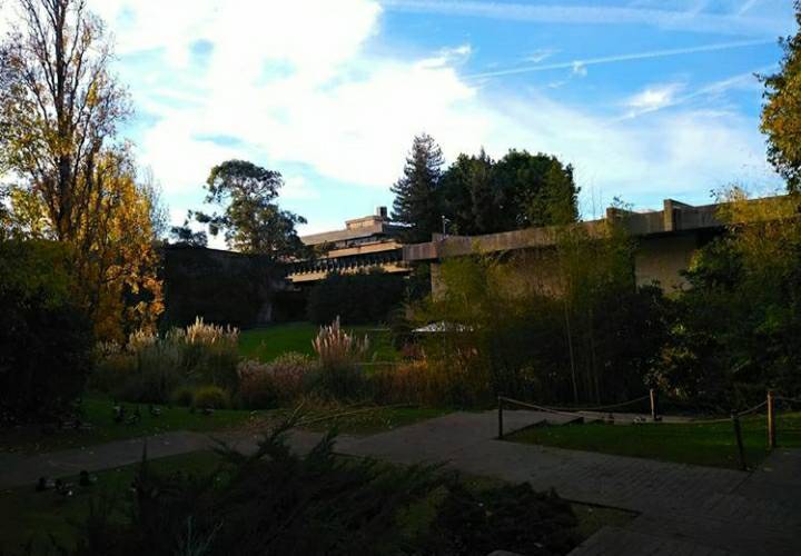 Lugar Museo Calouste Gulbenkian