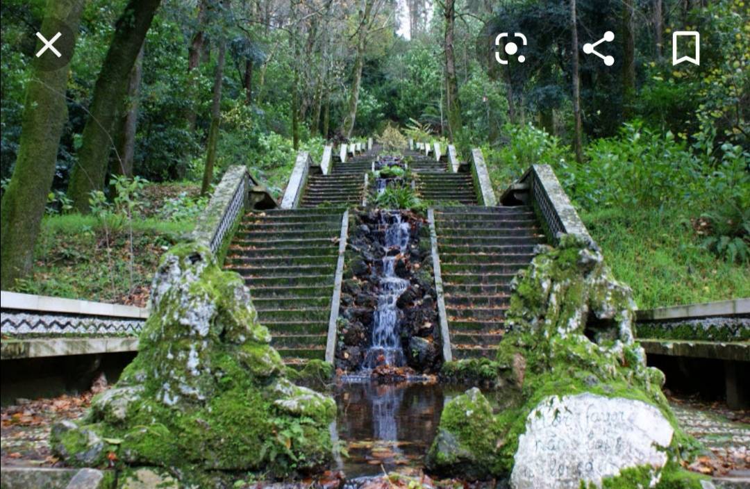 Moda Serra do Buçaco