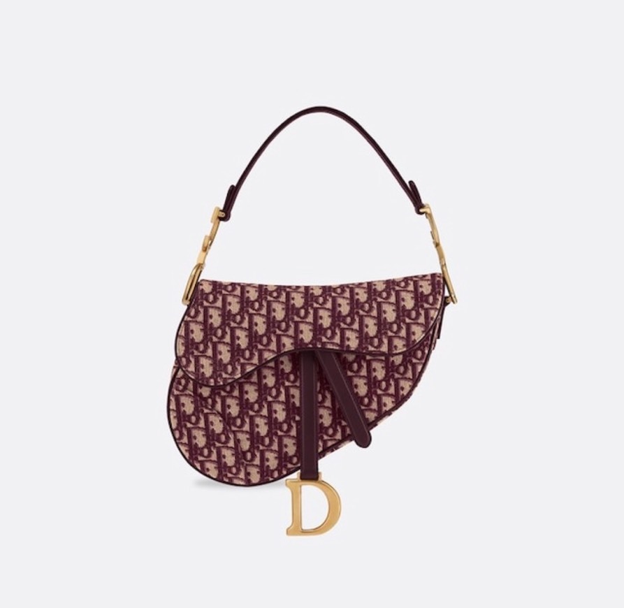 App Dior Saddle bag