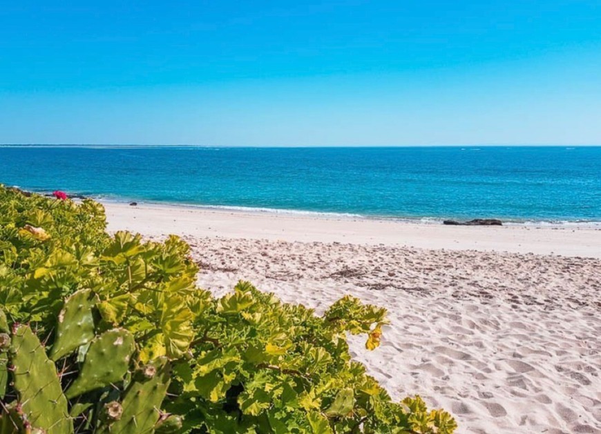 Lugares Praia dos Coelhos