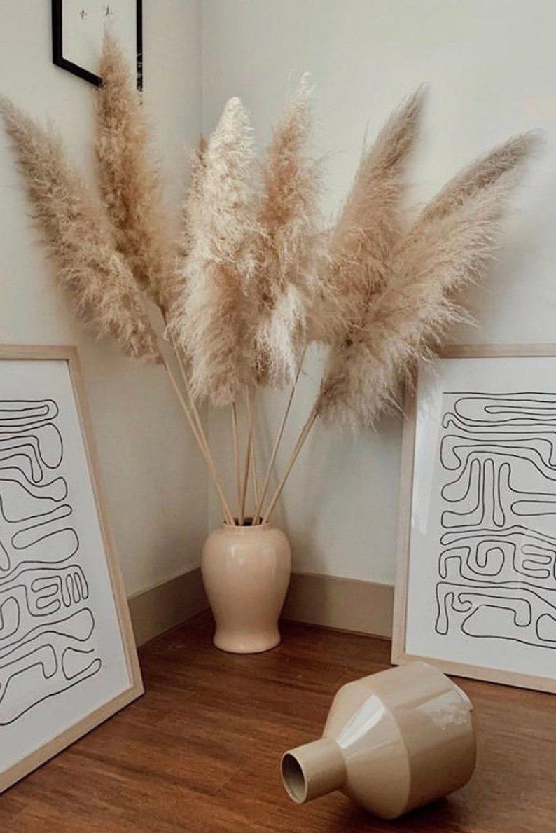 Product Dried Pampas Grass