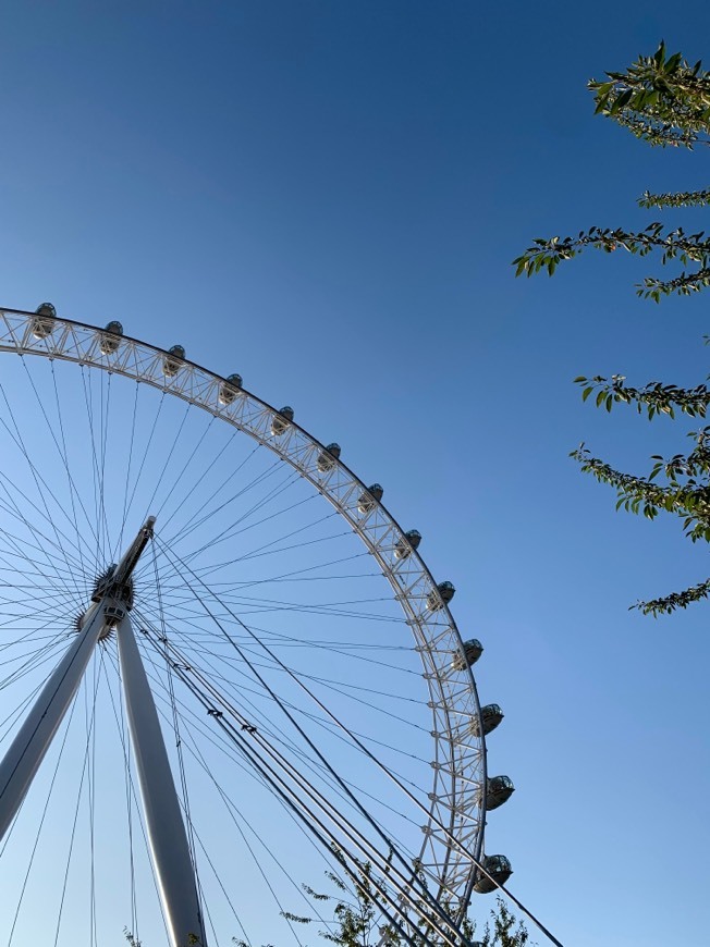 Place London Eye