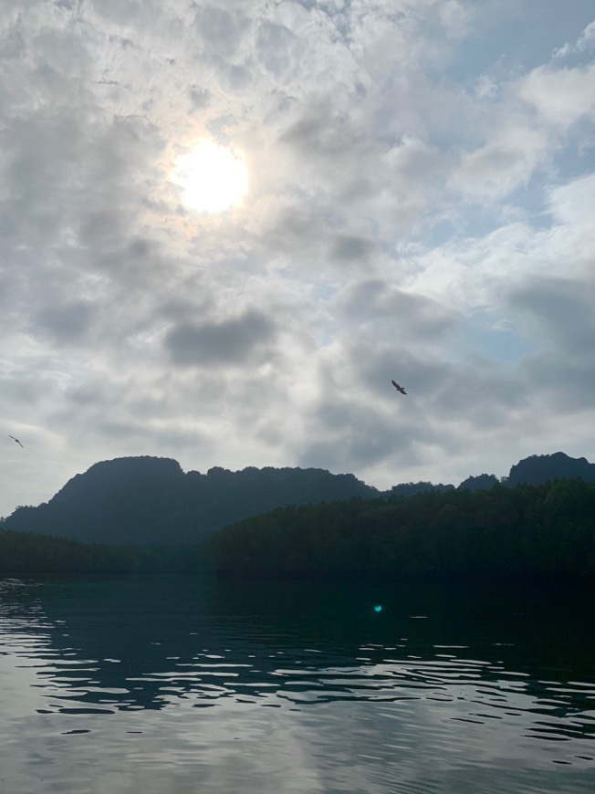 Places Langkawi Mangrove Tour