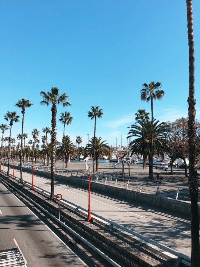 La Barceloneta