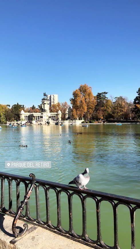 Place Parque de El Retiro