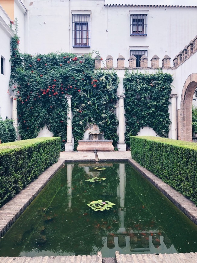 Lugar Real Alcázar de Sevilla