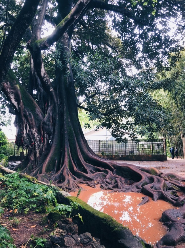 Place Jardins da Quinta das Lágrimas