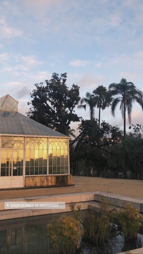 Place Jardim Botânico da Universidade de Coimbra