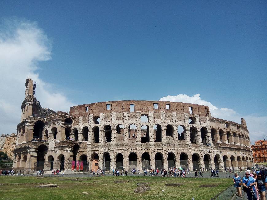 Lugar Coliseo de Roma