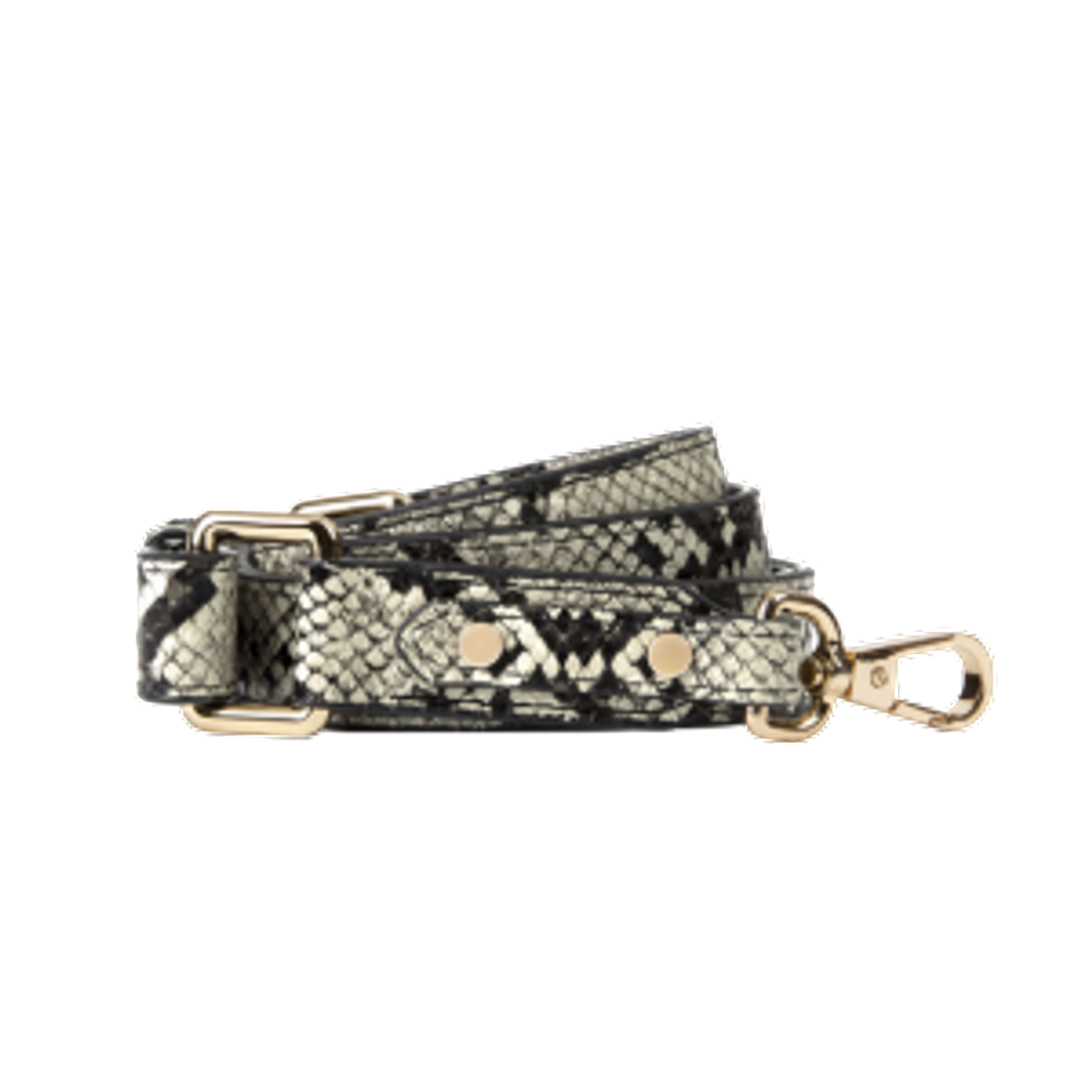 Products Desert Python Strap 2,3 cm