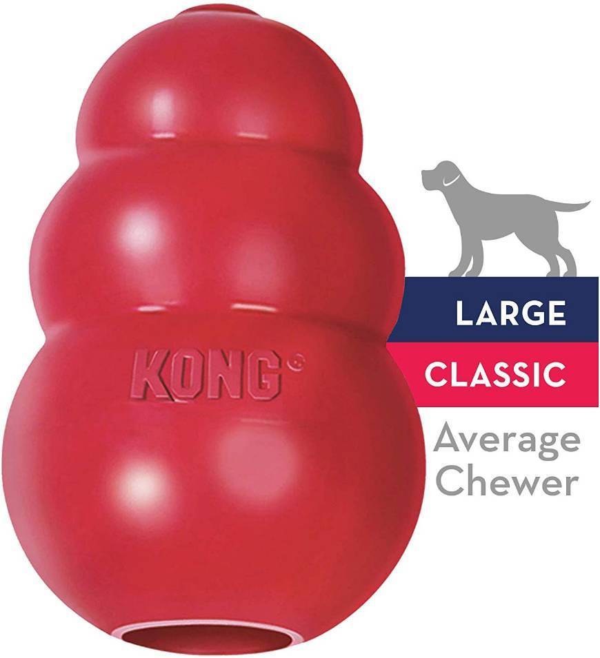 Fashion Kong dispensador 