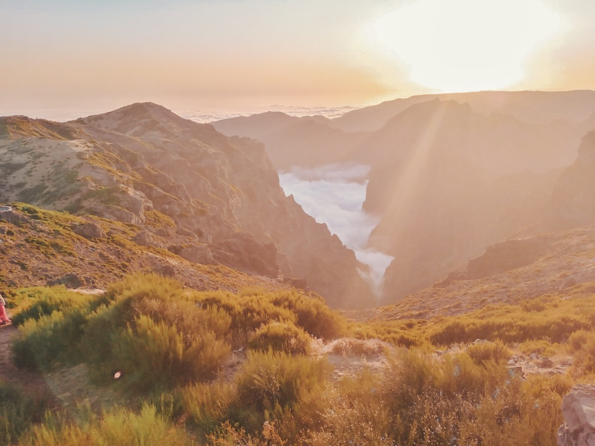 Place Madeira