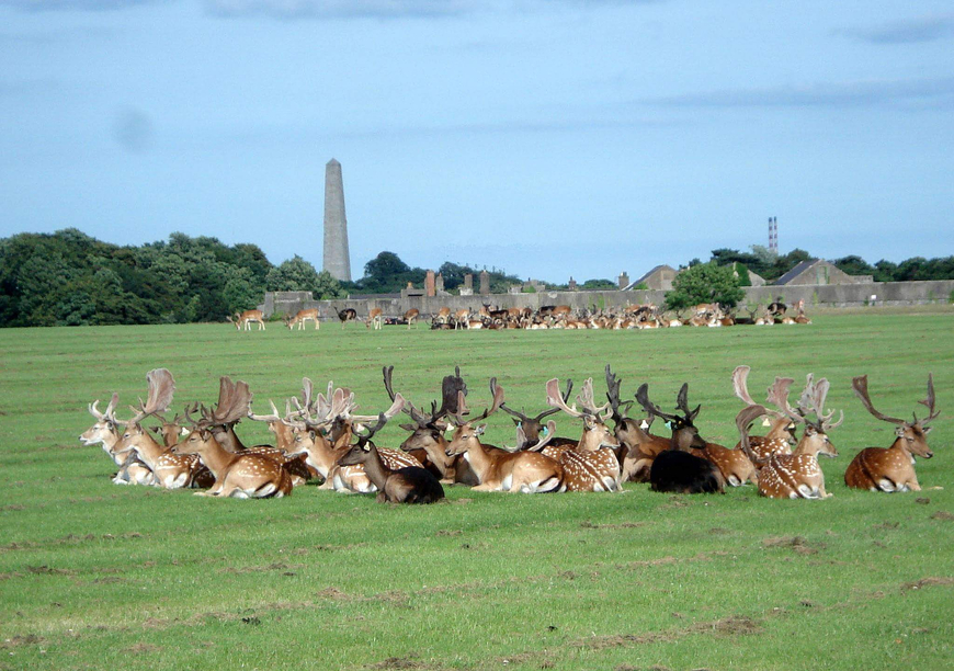 Lugar Phoenix Park