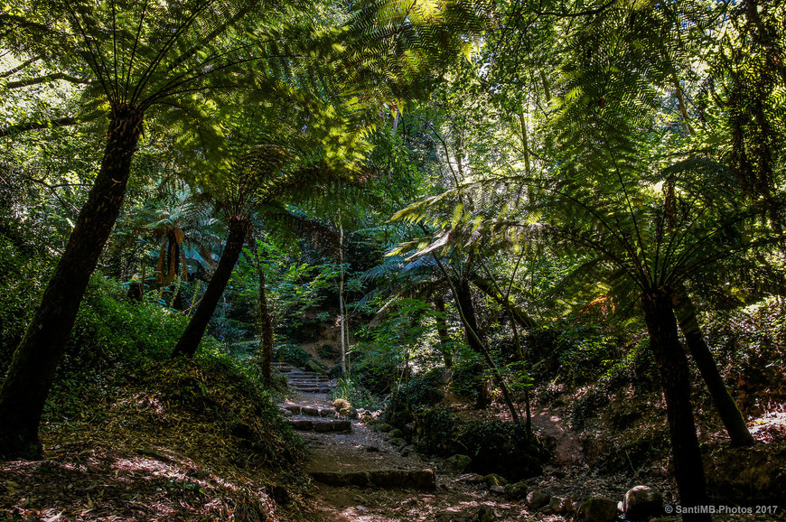 Lugar Serra do Buçaco