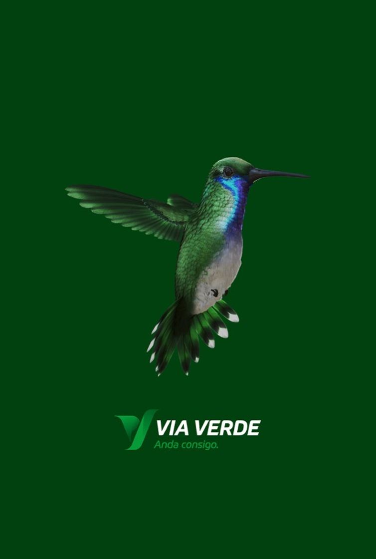 App Via Verde