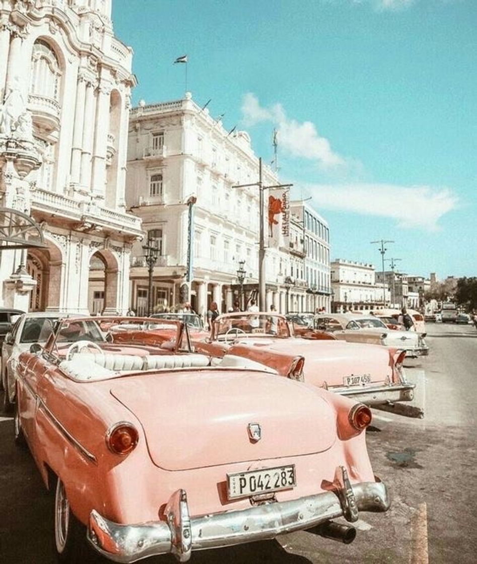 Social Wallpaper
