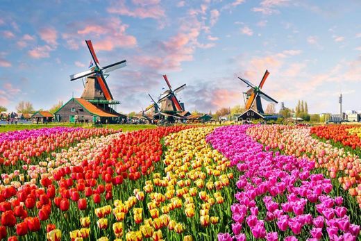 Holanda