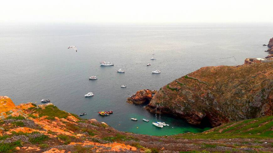 Place Ilha das Berlengas 