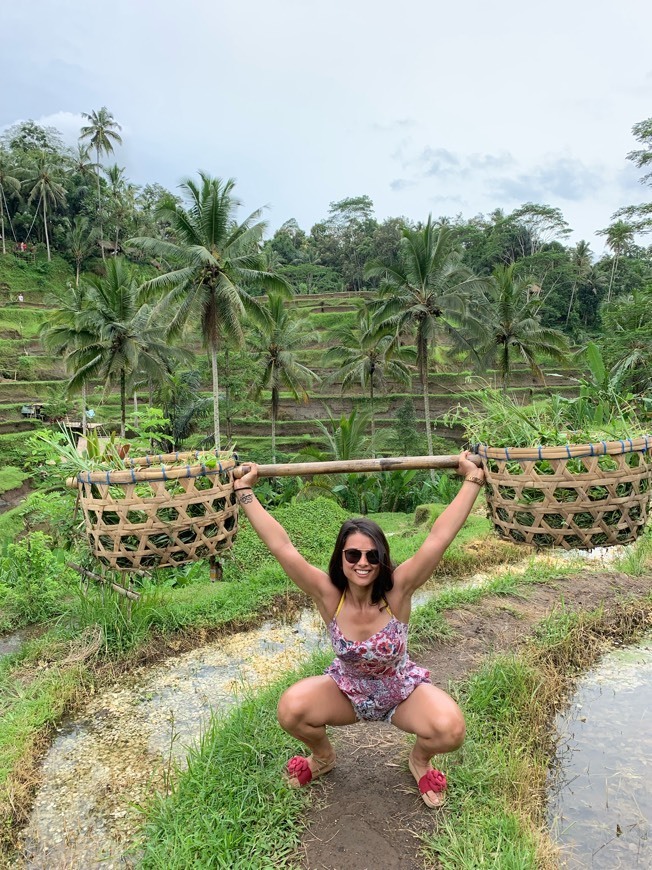 Lugar Tegallalang Rice Terrace