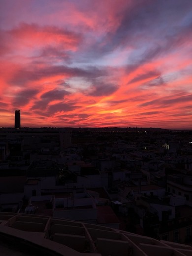 Setas de Sevilla