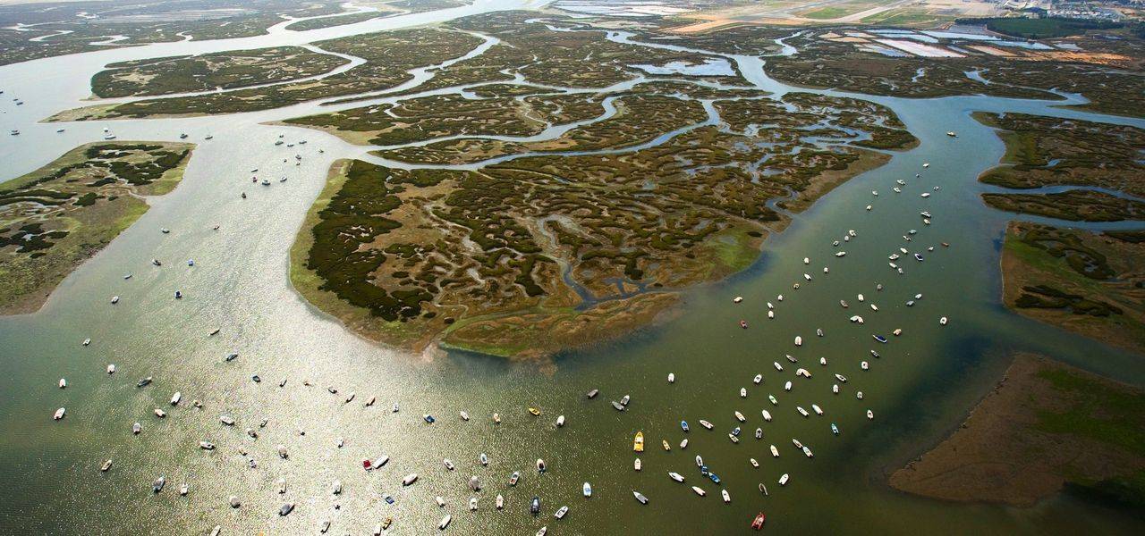 Lugar Ria Formosa Natural Park