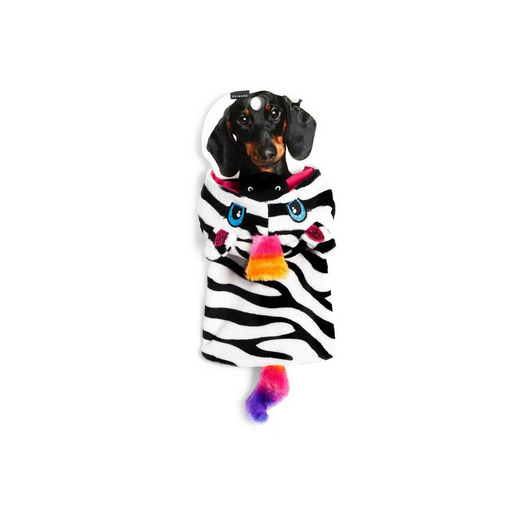 Fato colorido zebra cão/gato