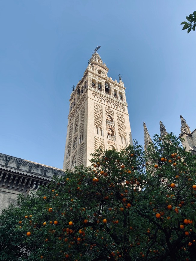 Place Sevilla