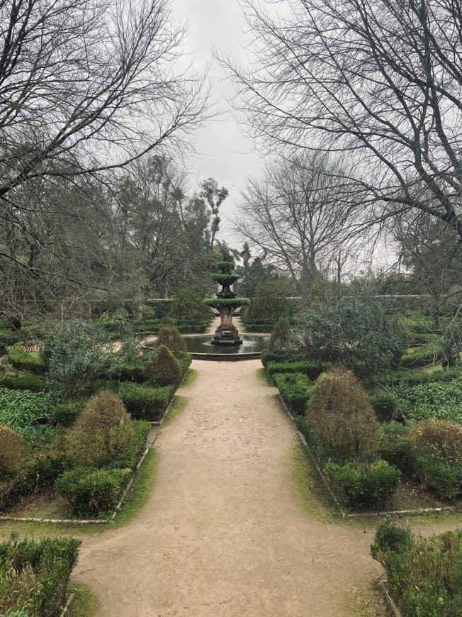 Place Jardim Botânico da Universidade de Coimbra