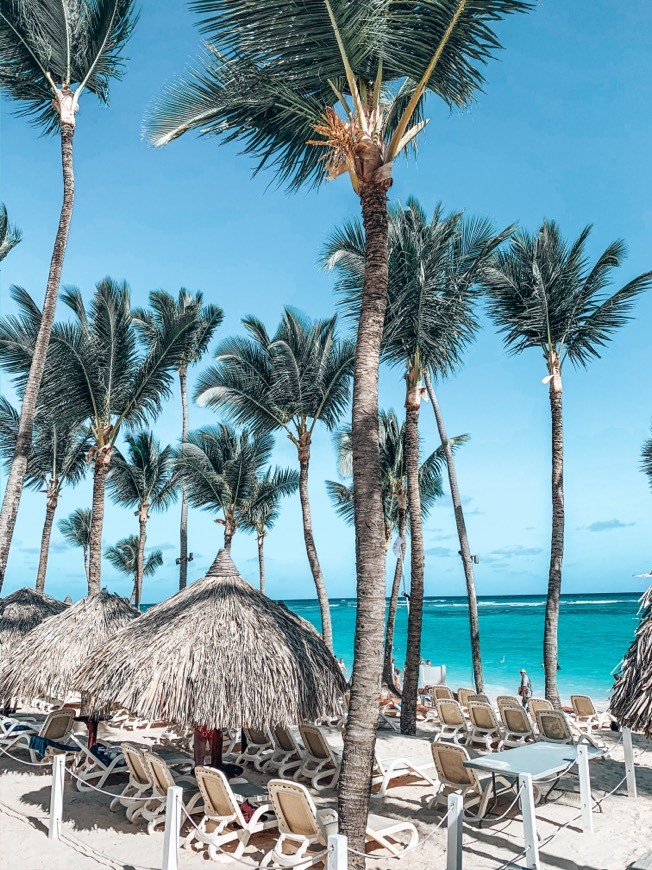 Lugar Grand Bahia Principe Bavaro