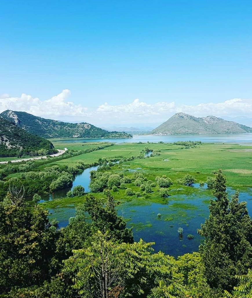 Place Lago Skadar