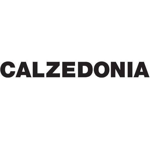  Calzedonia