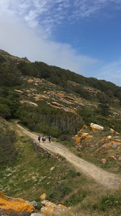 Lugar Casa Ideal Islas Cies