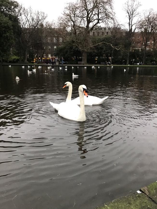 Place The Park