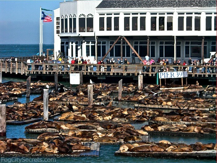 Place PIER 39