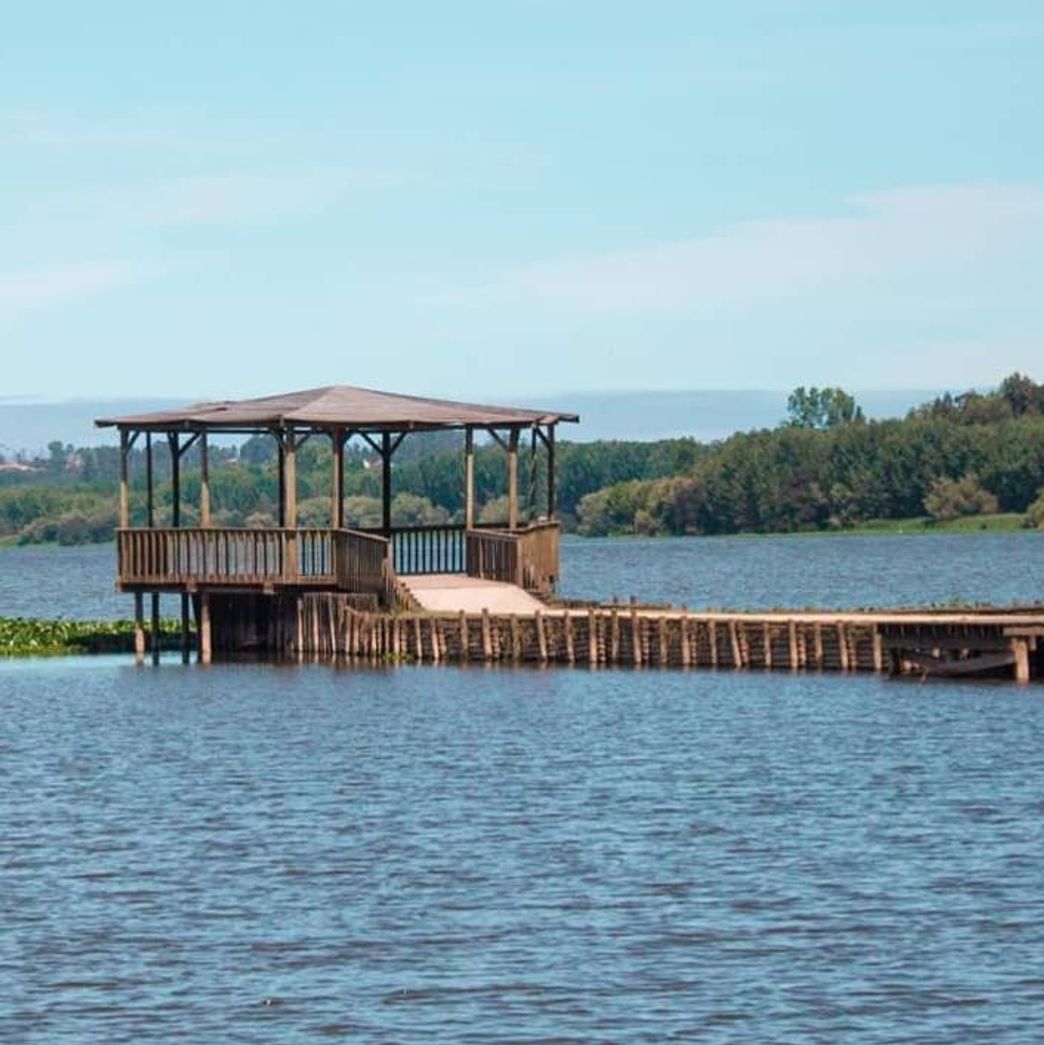 Lugar Pateira de Fermentelos